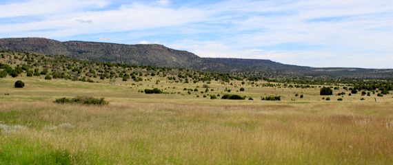 New Mexico Land Conservancy Receives PLJV ConocoPhillips Capacity Grant
